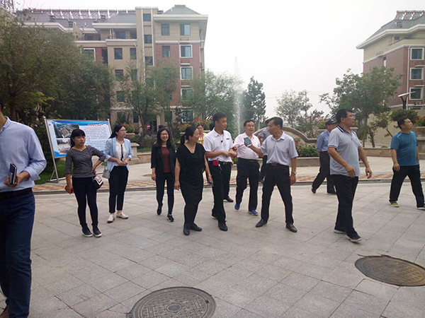 县有关领导到中央公元视察