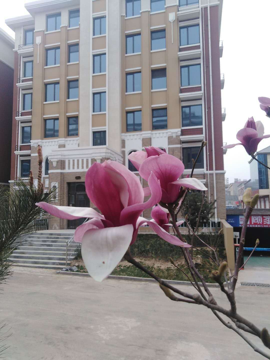 春暖花开，高峰装修期间，请业主注意这些事......