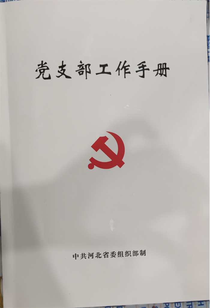 市巡查组抽检集团党支部工作