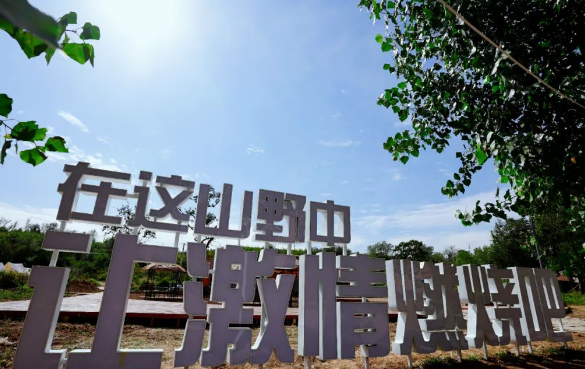 精诚合作 共同进取 | 为福集团夏季团建活动